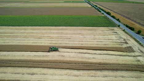 Drohnenansicht-Einer-Weizenerntemaschine,-Umgeben-Von-Gelben-Und-Grünen-Feldern-Mit-Einem-Klaren-Blauen-Himmel-Im-Hintergrund,-Seitenansicht