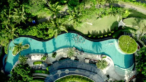 Aerial-view-at-the-pool-and-palm-trees