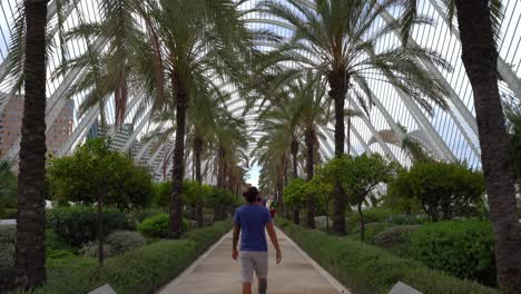 Tilt-up-shot-of-male-person-walking-on-path-surrounded-by-palm-trees-and-modern-building-in-background