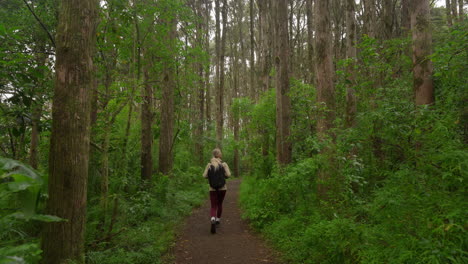 Reveal-shot-of-woman-hiking-on-natural-forest-path-in-New-Zealand
