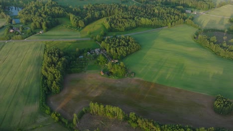 Aerial-establishing-view-of-ripening-grain-fields-at-sunset,-organic-farming,-countryside-landscape,-production-of-food,-woodland,-beautiful-golden-hour-sunset,-drone-shot-moving-forward-tilt-down