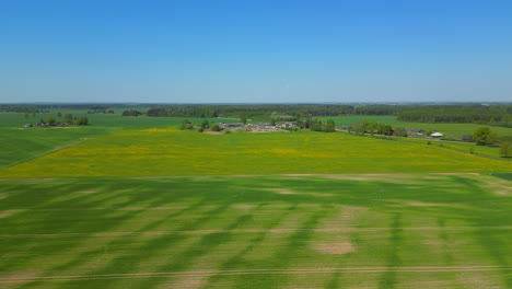 Flying-over-newly-sowed-fields-of-young-crops-on-a-perfect-summers-day
