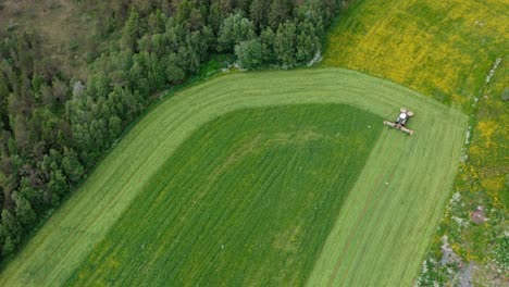 Aerial-View-Of-Combine-Harvester-Working-In-Green-Field---drone-shot