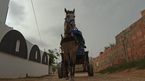 Rückwärtsverfolgungsansicht-Einer-Bespannten-Pferdekutsche-Mit-Touristen-Für-Eine-Tour-In-Tunesien