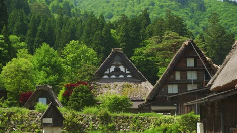 Malerische-Aussicht-Auf-Die-Traditionellen-Strohgedeckten-Gassho-Zukuri-Dorfhäuser-In-Shirakawago,-Umgeben-Von-üppig-Grünen-Laubbäumen