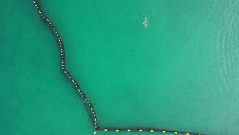 Persona-Nadando-Por-La-Mañana-En-Una-Red-Protectora-De-Tiburones-En-Coogee-Beach,-Ciudad-De-Perth