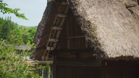 Traditionelles-Gassho-Zukuri-Strohdach-Von-Dorfhäusern-In-Shirakawago