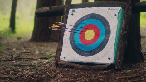 archery-arrow-hits-target-slow-motion-low-close-shot