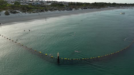 Row-of-Buoys-separate-ocean-zone-for-swimmer,-protecting-against-sharks-in-western-Australia---Orbiting-drone-flight-with-dunes-and-sandy-beach-in-background