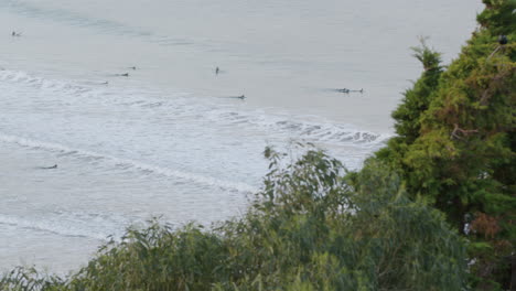 Surfers-are-waiting-for-the-waves-at-Castle-Point-Beach-in-New-Zealand,-Wide-Shot