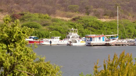 Amplio-Foco-De-Rack-De-Pequeña-Bahía-Marina-Con-Barcos-Pesqueros-Locales-Atracados-En-El-Puerto.