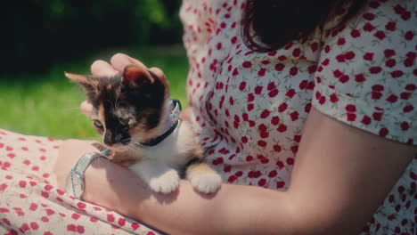 woman-pets-and-holds-calico-kitten