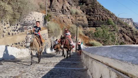 Eine-Gruppe-Esel,-Die-Mit-Einem-Touristen-Auf-Dem-Rücken-Eine-Steile-Bergstraße-Auf-Santorini-Hinaufspaziert