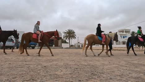 Reittour-Mit-Pferden-Und-Dromedaren-In-Tunesien