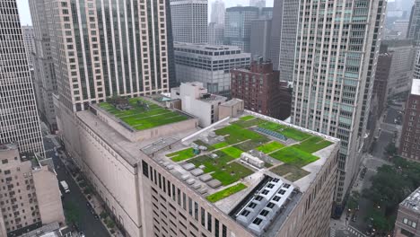 Green-roof-surrounded-by-towering-skyscrapers-in-downtown-Chicago,-Illinois-city