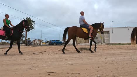 Tour-tourism-riding-horses-in-Tunisia.-Slow-motion