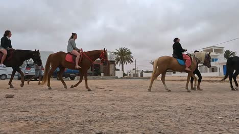 Tour-tourism-riding-horses-and-dromedaries-in-Tunisia
