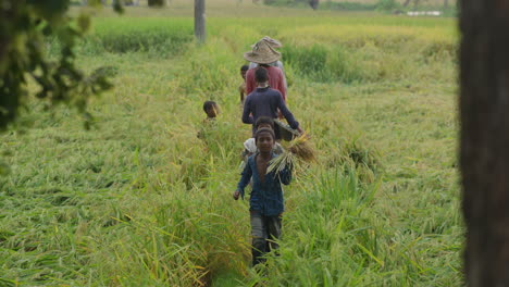 Grupos-De-Niños-Y-Agricultores-Que-Se-Cruzan-En-Un-Campo-Verde:-Estilo-De-Vida-Rural-De-Bangladesh-4k