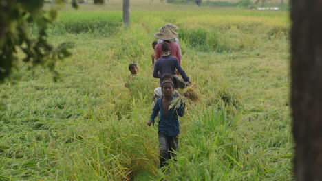 Gruppen-Von-Kindern-Und-Bauern,-Die-Auf-Einer-Grünen-Wiese-Aneinander-Vorbeikommen-–-Bangladeschischer-Ländlicher-Lebensstil-4k