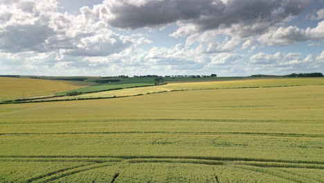 Drone-captures-the-beauty-of-Lincolnshire-countryside,-with-farms,-fields,-wheat,-barley,-road,-tractor-tracks