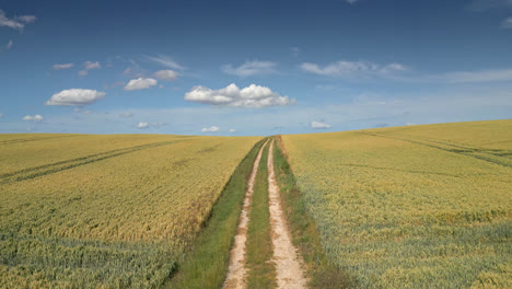 Luftaufnahmen-Von-Lincolnshire-Mit-Einer-Sommerernte-Von-Weizen-Und-Gerste-Und-Einer-Kleinen-Landstraße,-Die-Sich-Durch-Die-Ländliche-Szenerie-Zieht,-Sowie-Traktorspuren