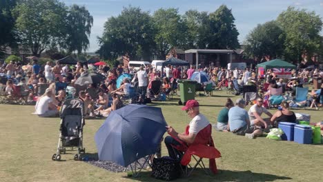 Menschen,-Die-Musik-Hören,-Feiern-An-Einem-Sonnigen-Tag-Im-Park