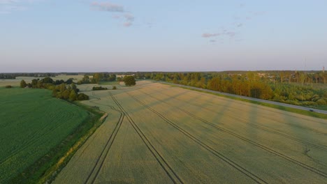 Aerial-establishing-view-of-ripening-grain-field,-organic-farming,-countryside-landscape,-production-of-food-and-biomass-for-sustainable-management,-beautiful-sunset,-wide-drone-shot-moving-forward