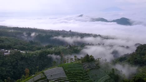 Aerial-view-of-hills-shrouded-by-mist