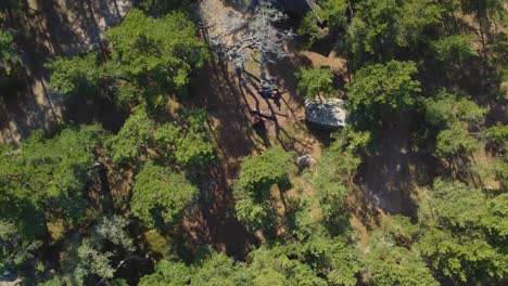 Drohnenaufnahme-Aus-Der-Luft:-Aufnahme-Des-Campingplatzes-Auf-Der-Insel-Hiiumaa-Von-Oben-Nach-Unten-–-4K-Aufnahmen