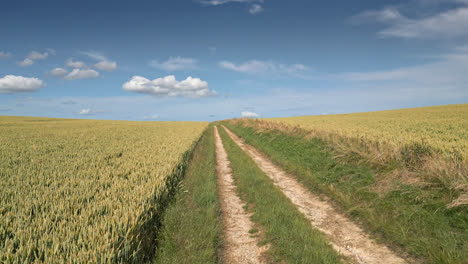Vista-Aérea-De-Las-Tierras-De-Cultivo-De-Lincolnshire,-Cultivos-De-Verano-De-Trigo-Y-Cebada,-Camino-Rural
