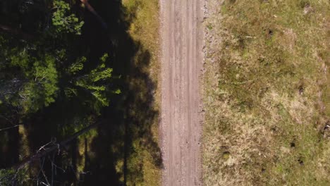 Aerial-Drone-Perspective:-Person-Hiking-on-Forest-Path-in-Hiiumaa-Island---4K-Footage