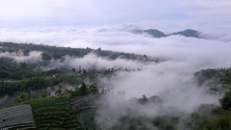 Aerial-panorama-view-of-mystic-plantation-field-on-hill-surrounded-by-clouds-in-Indonesia