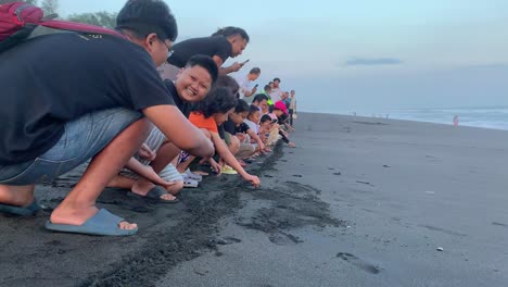 Indonesia---Jul-9,-2023-:-people-releasing-hatchlings-on-Goa-Cemara-beach-in-Bantul,-Yogyakarta
