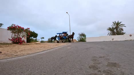 Reverse-tracking-shot-of-harnessed-horse-pulling-carriage-with-tourists-on-asphalted-road-in-Tunisia