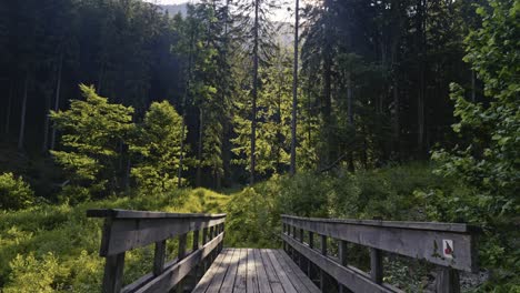 An-old-wooden-bridge-in-a-mountain-valley