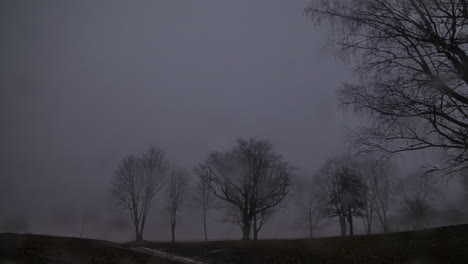 Time-lapse-of-an-overcast-and-rainy-countryside-with-trees-as-darkness-falls-and-rain-droplets-fall-on-the-camera-lens