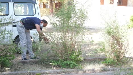 Wide-scene-of-a-man-cutting-branches-from-a-tree-by-hand-and-clearing-the-area