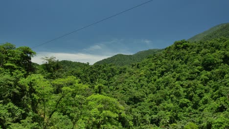 Bolivia-forest-and-Amazon-river-with-bright-clear-sky