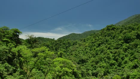 Bolivien-Wald-Und-Amazonas-Fluss-Mit-Hellem,-Klarem-Himmel