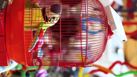 Robot-Toy-Bird-Flapping-in-Bird-Cage-at-Farmer's-Market-Street-Vendor,-Vertical