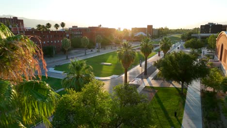 Palmen-Auf-Dem-Wunderschönen-College-Campus-Der-Universität-Von-Arizona