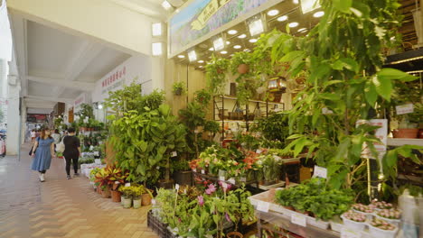 Floristen-Verkaufen-Pflanzen-Im-Prince-Edward-Complex-Hongkong