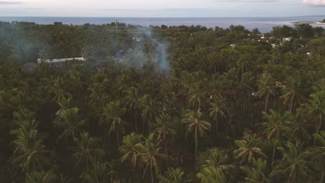 Rauch-Kommt-Aus-Der-Mitte-Eines-Kokospalmenwaldes-Auf-Der-Insel-Gili-Trawangan-In-Indonesien