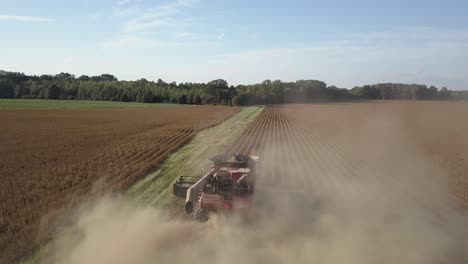 Überflug-Mähdrescher-Erntet-Ernte-Im-Staubbohnenfeld-An-Einem-Sonnigen-Tag.-Fleißiger-Bauer