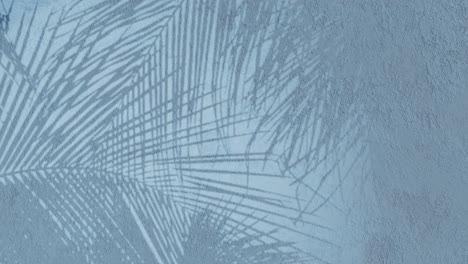Blumenhintergrundanimation,-Blau-Gewaschene-Texturwand,-Verputzte-Wandtextur,-Tropische-3D-Darstellung,-Animierter-Schatten,-Bewegliche-Farne,-Blumenpflanzenzweige,-Palmblätter,-Themenhintergrund-CGI,-Silhouette