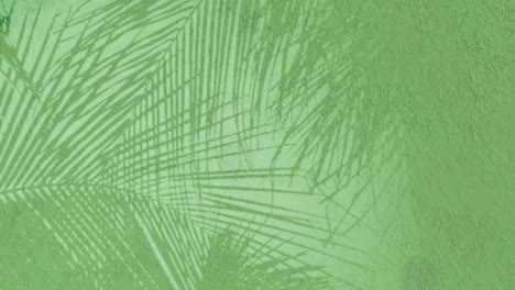 Blumenhintergrundanimation,-Grüne-Moosstrukturwand,-Verputzte-Wandstruktur,-Tropische-3D-Darstellung,-Animierter-Schatten,-Bewegliche-Farne,-Blumenpflanzenzweige,-Palmblätter,-Themenhintergrund,-CGI,-Silhouette