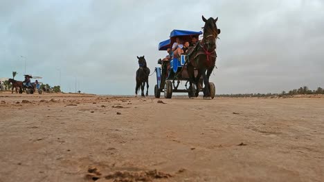 Horse-drawn-carriage-traveling-on-desert-road-for-tour-tourism-in-Tunisia