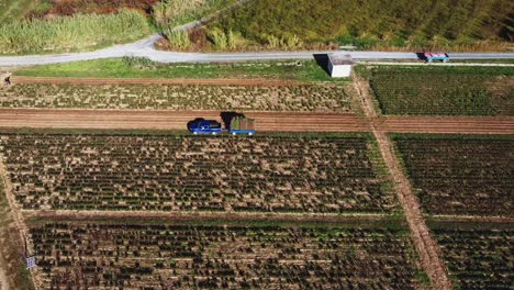 Aerial-top-down-of-truck-transporting-plants-on-trailer-at-farm-field-in-Greece