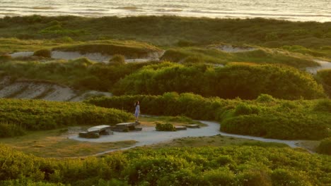 Wide-aerial-orbiting-view-of-a-women-standing-tall-on-a-small-brush-covered-dune-near-the-ocean-at-sunset