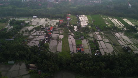 Drone-shot-of-terraced-rice-farming-and-city-landscape-under-dusty-sky,-Ubud,-Indonesia